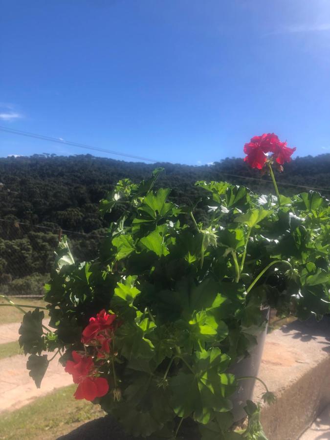 Campos do JordãoCasa Aconchegante Na Montanhaアパートメント エクステリア 写真